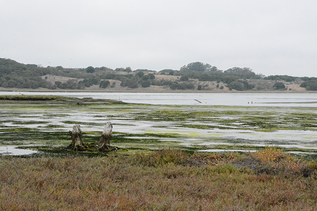 DSC_6365
