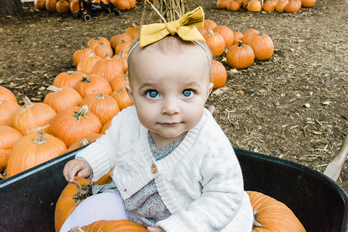 Wagon baby wp